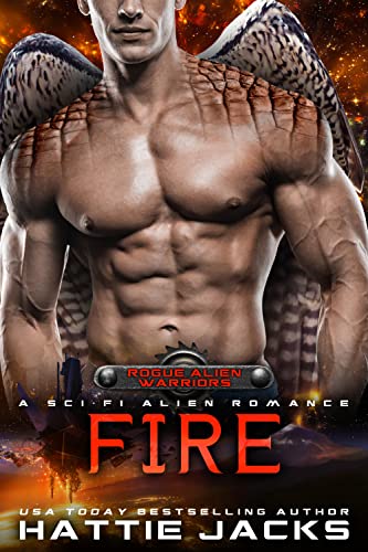 Fire book cover