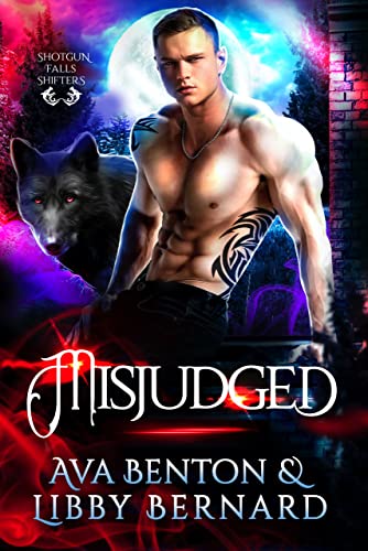 Misjudged book cover