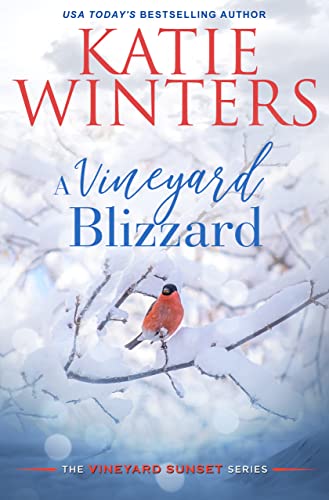 A Vineyard Blizzard book cover
