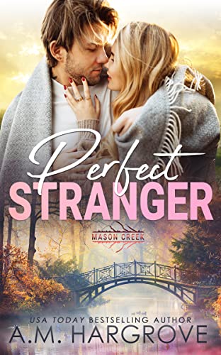 Perfect Stranger book cover