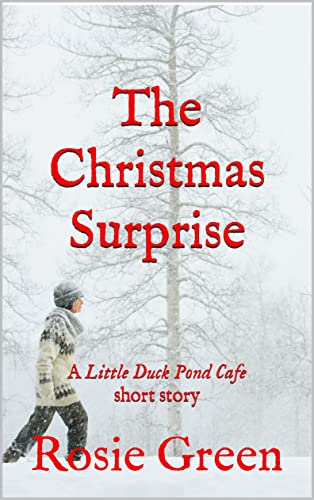 The Christmas Surprise book cover