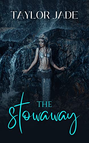 The Stowaway book cover