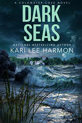Dark Seas book cover