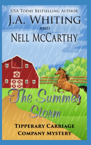 The Summer Storm book cover