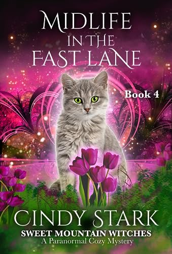 Midlife in the Fast Lane book cover