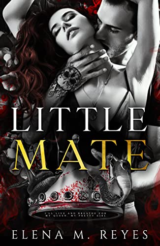 Little Mate book cover
