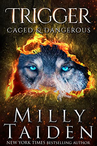 Trigger book cover