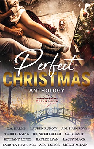 Perfect Christmas book cover