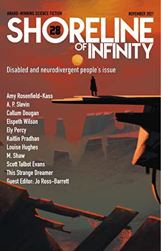 Shoreline of Infinity 28 book cover