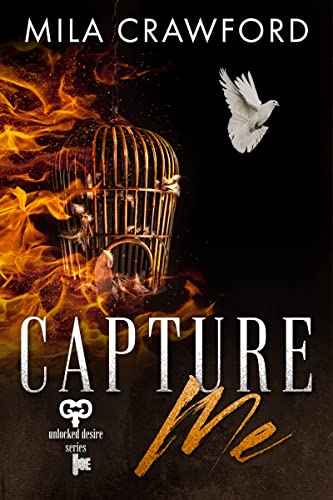 Capture Me book cover