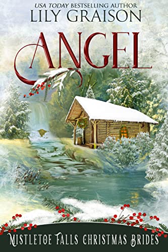 Angel (By: Lily Graison) cover