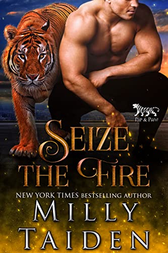 Seize the Fire book cover