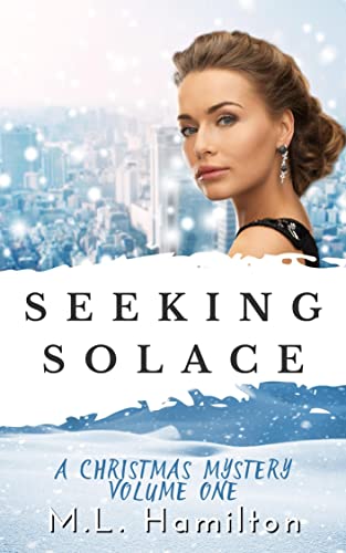 Seeking Solace book cover