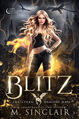 Blitz book cover