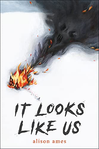 It Looks Like Us book cover