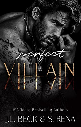 Perfect Villain cover