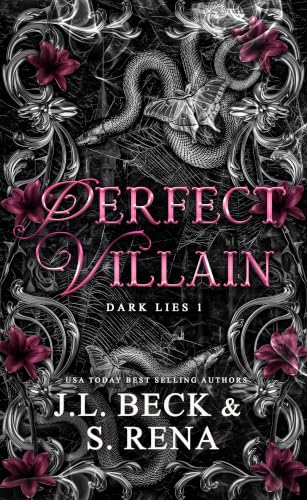 Perfect Villain book cover