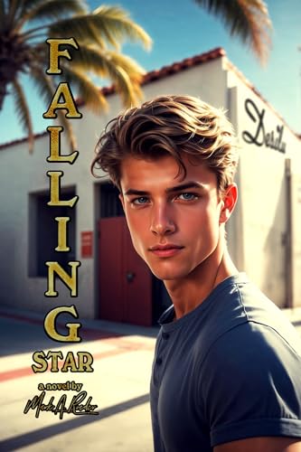 Falling Star book cover