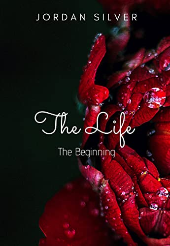 The Beginning book cover