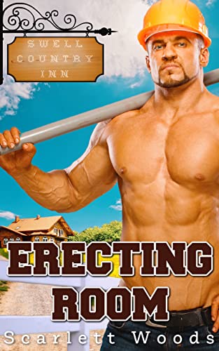 Erecting Room book cover