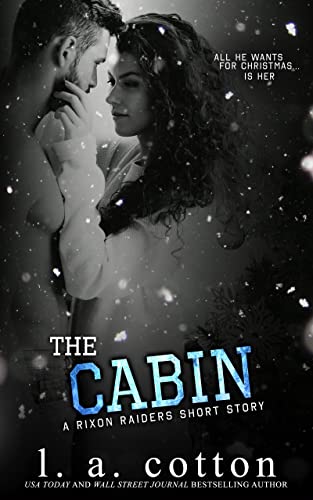The Cabin book cover
