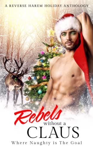 Rebels Without a Claus book cover