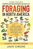 Plant to Plate - Complete Beginners Guide to Foraging in North America: Harvest, Prepare & Eat Wildflowers, Seeds, Weeds, Berries, Mushrooms, Wild Leaves, Fruits, Nuts & More!