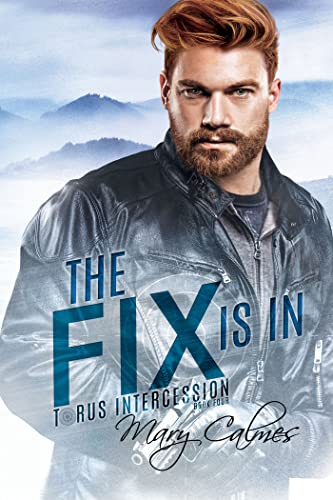 The Fix Is In cover