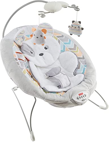 Fisher-Price Snugapuppy Bouncer