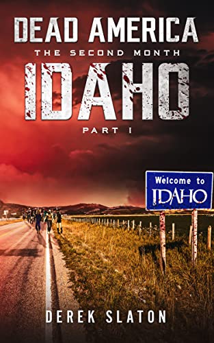 Idaho Pt. 1 book cover