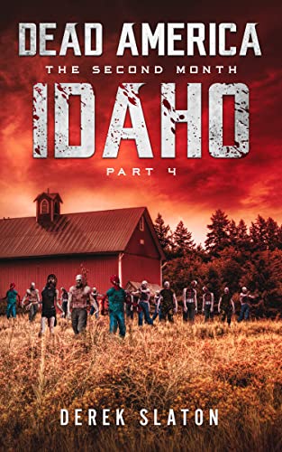 Idaho Pt. 4 cover