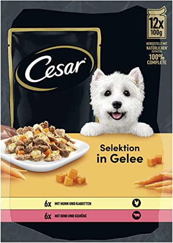 🔥 SELTEN SO GÜNSTIG (-50%) CESAR Adult Hundefutter nass - 4x12x100g Portionsbeutel - mit Huhn & Rind - Hundenassfutter in Gelee – Ausgewogenes Premium Nassfutter für Hunde - 4er Pack