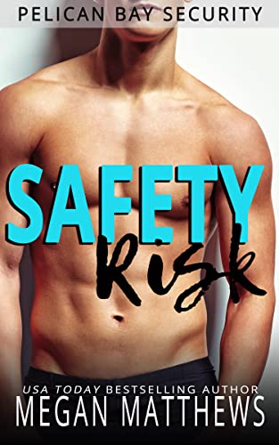 Safety Risk book cover
