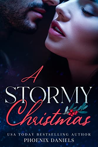 A Stormy Christmas cover