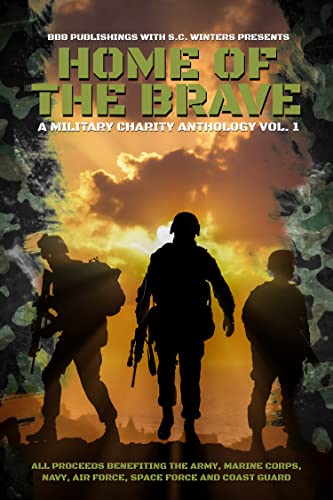 Home of the Brave book cover