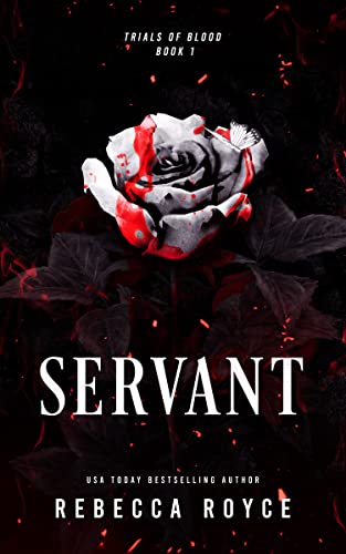Servant book cover
