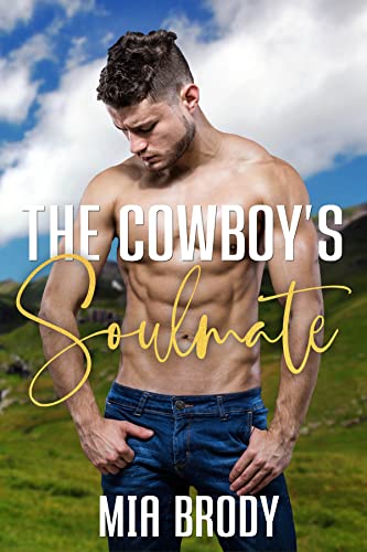 The Cowboy’s Soulmate book cover