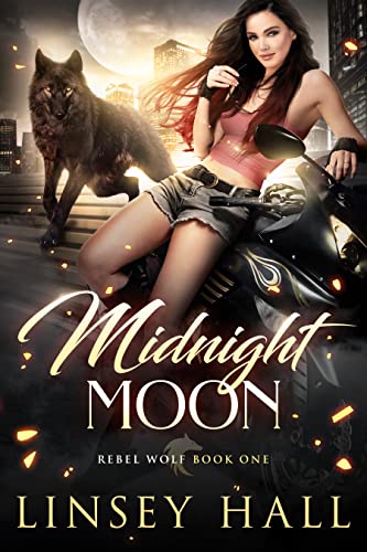 Midnight Moon book cover
