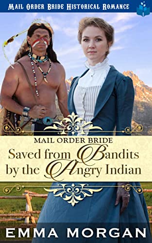Mail Order Bride Saved from the Bandits by the Angry Indian book cover