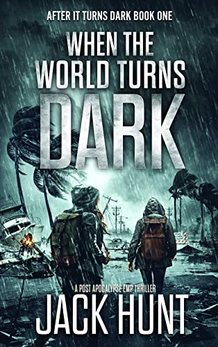 When The World Turns Dark book cover