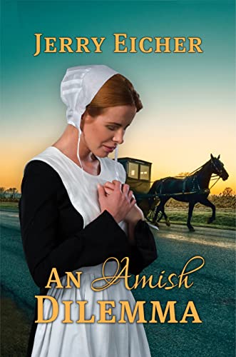 An Amish Dilemma book cover