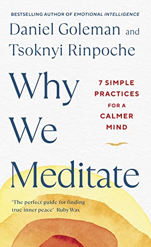 Why We Meditate book cover