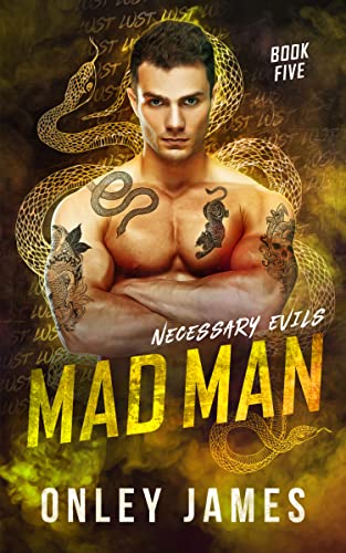 Mad Man book cover