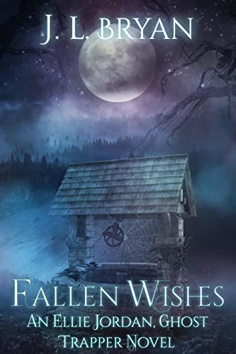 Fallen Wishes cover