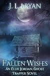 Fallen Wishes