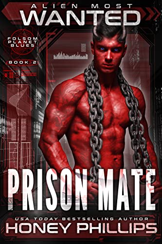 Prison Mate book cover
