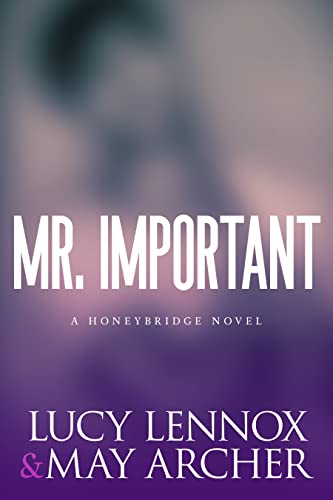 Mr. Important book cover