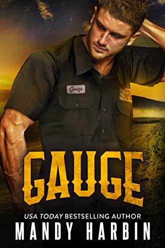Gauge book cover
