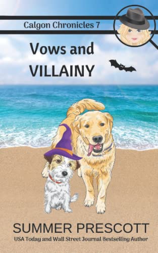 Vows and Villainy book cover