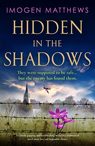 Hidden in the Shadows book cover